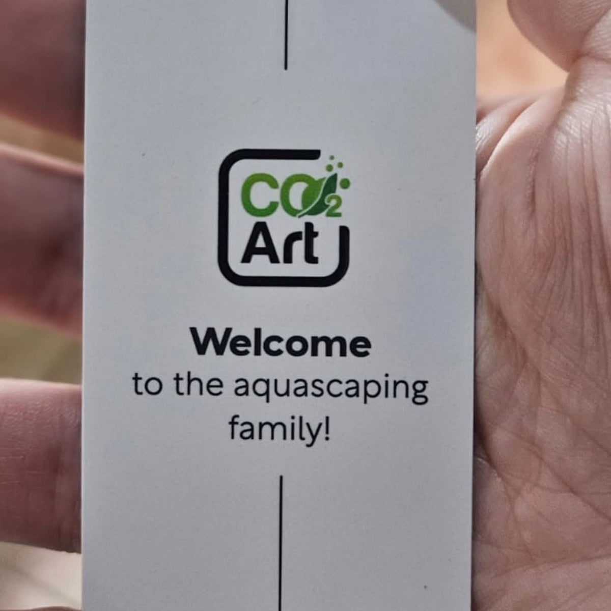 Публикация в Instagram от @vale.aquascaper