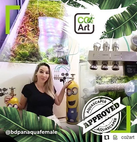 Публикация в Instagram от @bdpanaquafemale