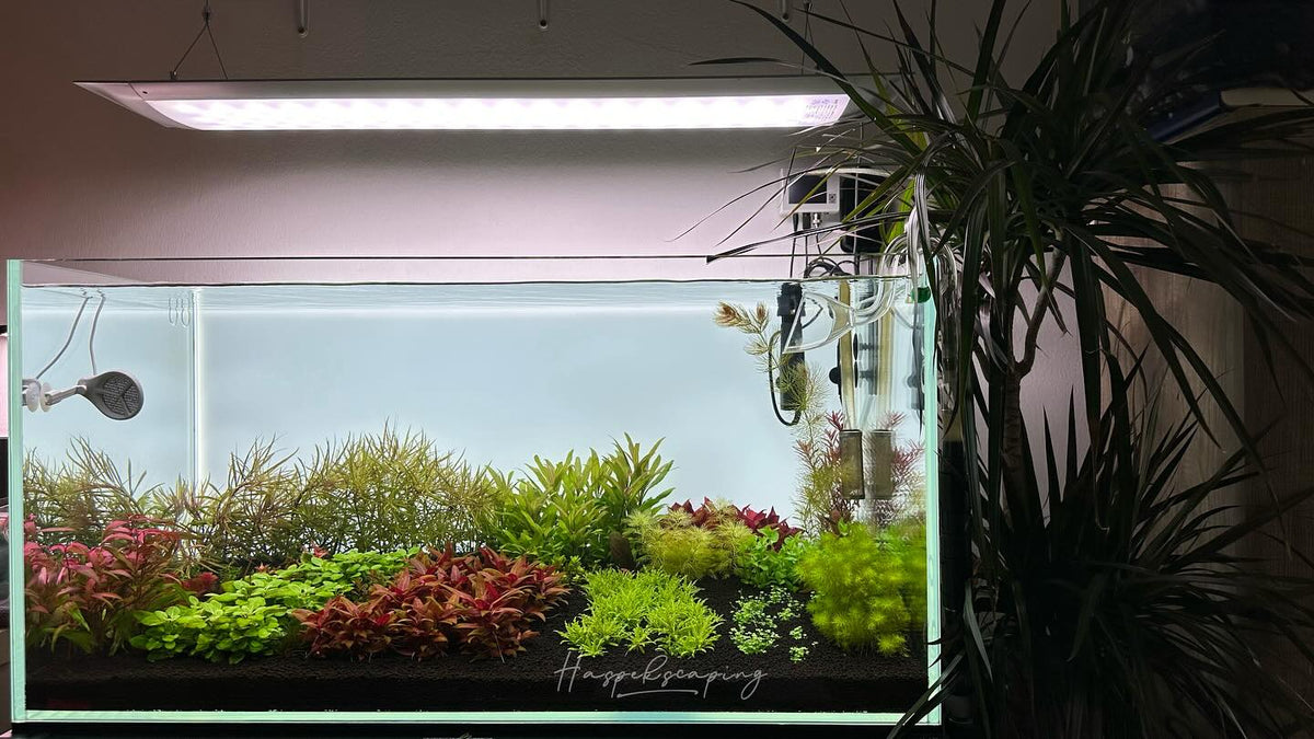 Публикация в Instagram от @haspek_scaping
