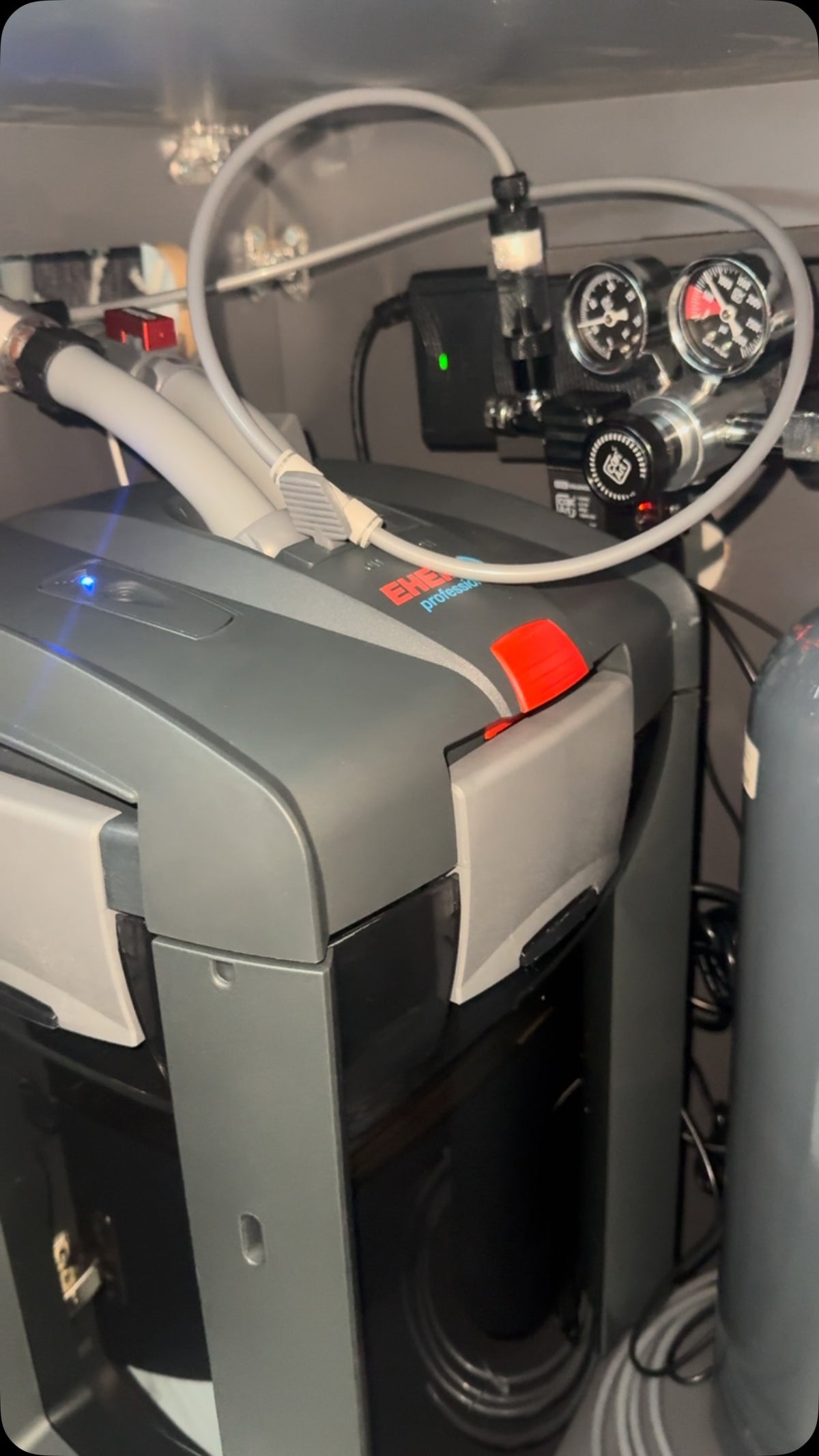 Instagram post by @planted.aquarium.studio