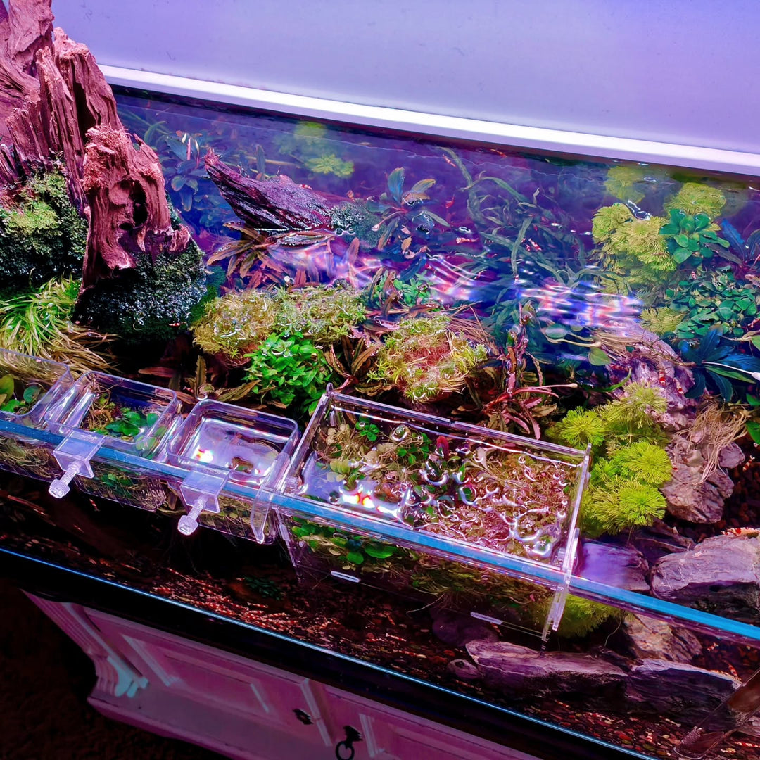 Публикация в Instagram от @aquascapebarendrecht