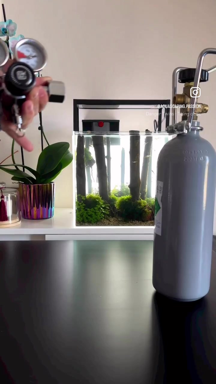 Видео в TikTok от @aquascaping.passion